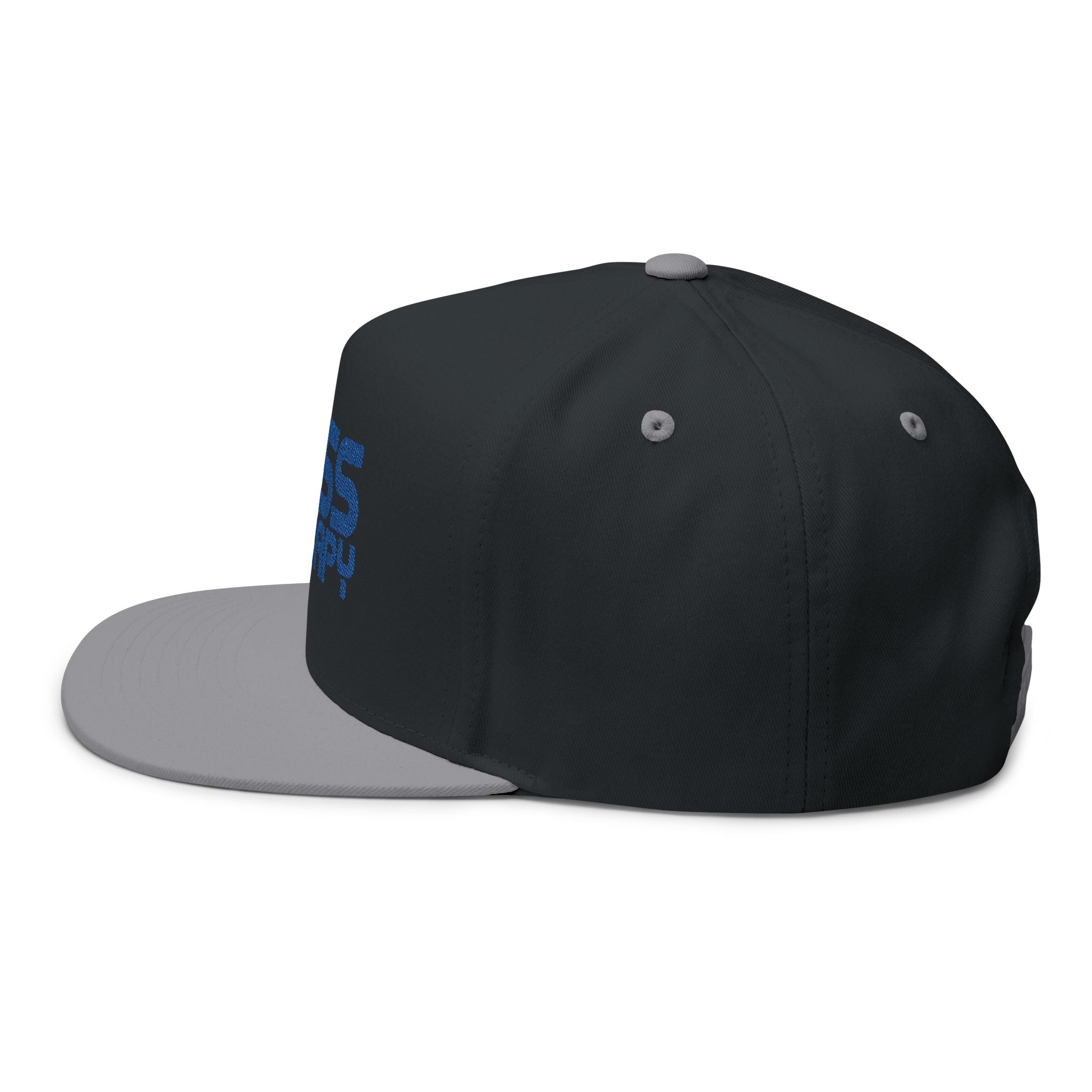 Flat Bill Cap - "Bass Therapy" Embroidered Snapback Hat
